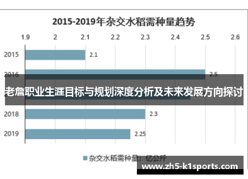 老詹职业生涯目标与规划深度分析及未来发展方向探讨