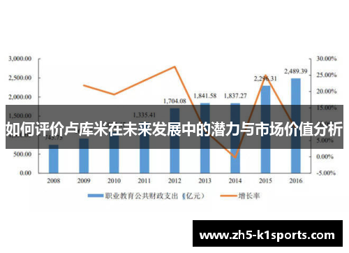 如何评价卢库米在未来发展中的潜力与市场价值分析