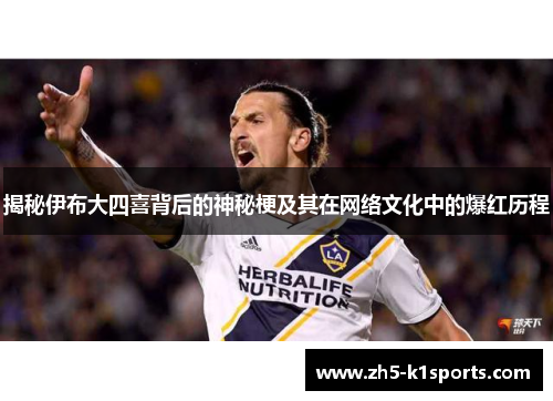 揭秘伊布大四喜背后的神秘梗及其在网络文化中的爆红历程