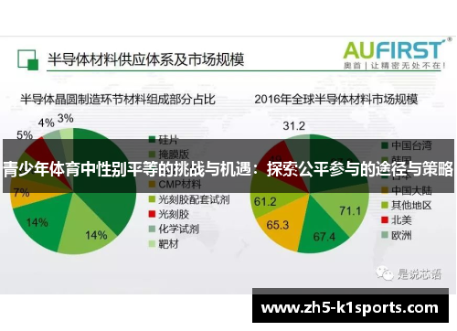 青少年体育中性别平等的挑战与机遇：探索公平参与的途径与策略